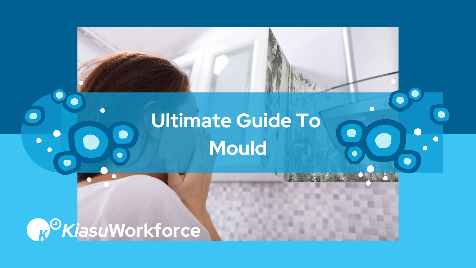 Ultimate Guide To Mould